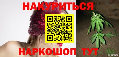 тгк Гай