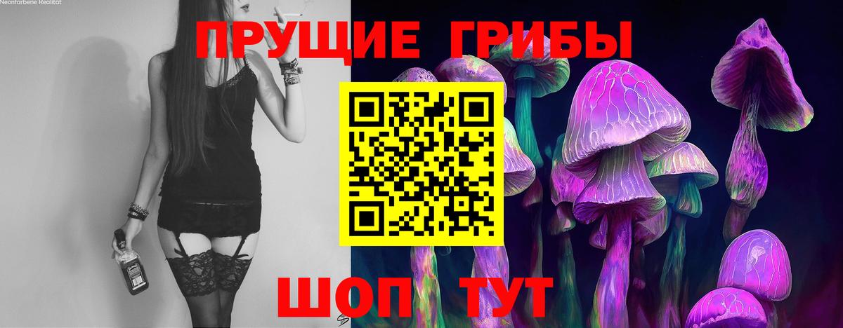 Галлюциногенные грибы Psilocybe Миасс
