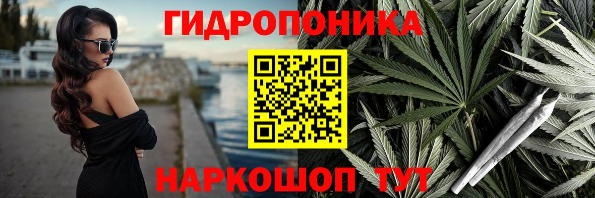 Миасс  Марихуана сатива  Марихуана Ganja  Вход с VPN  Каннабис конопля 